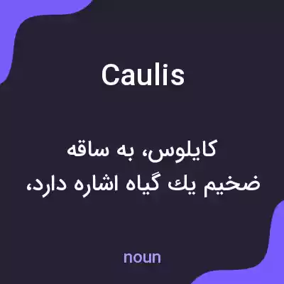معنی caulis به فارسی معنی caulis به فارسی