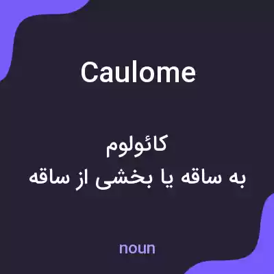 معنی caulome به فارسی معنی caulome به فارسی