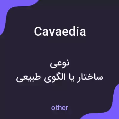 معنی cavaedia به فارسی معنی cavaedia به فارسی