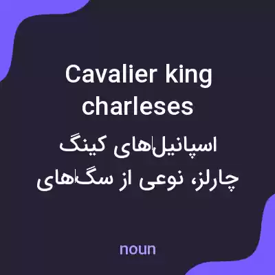 معنی cavalier king charleses به فارسی معنی cavalier king charleses به فارسی