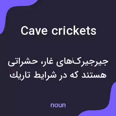 معنی cave crickets به فارسی معنی cave crickets به فارسی