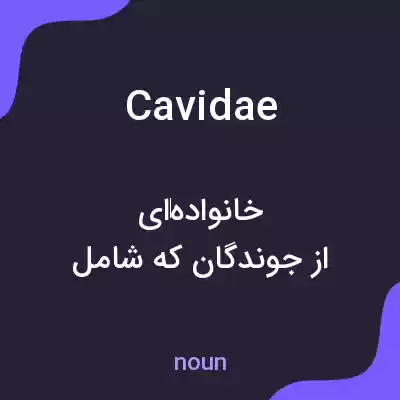 معنی cavidae به فارسی معنی cavidae به فارسی