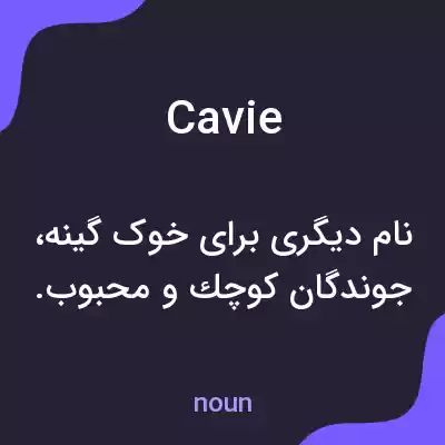 معنی cavie به فارسی
