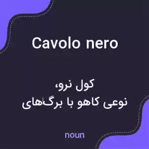 معنی cavolo nero به فارسی معنی cavolo nero به فارسی