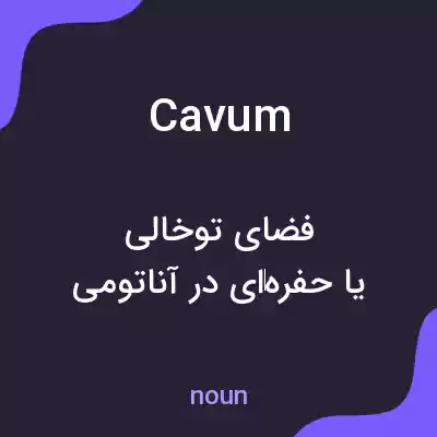 معنی cavum به فارسی معنی cavum به فارسی