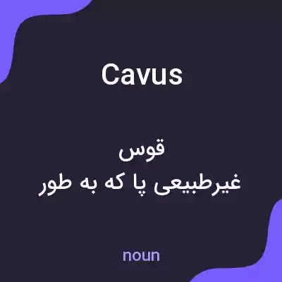 معنی cavus به فارسی معنی cavus به فارسی