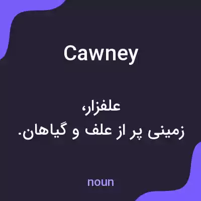 معنی cawney به فارسی معنی cawney به فارسی