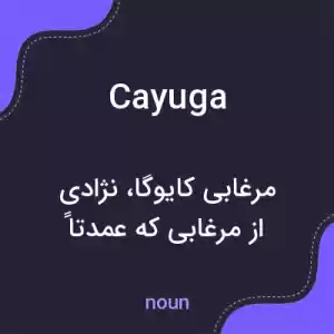 معنی cayuga به فارسی معنی cayuga به فارسی