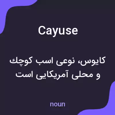 معنی cayuse به فارسی معنی cayuse به فارسی