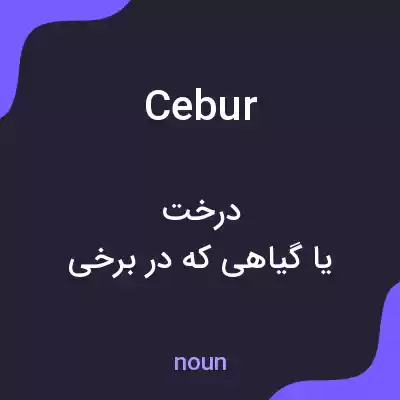 معنی cebur به فارسی معنی cebur به فارسی