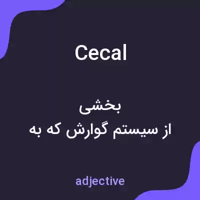 معنی cecal به فارسی معنی cecal به فارسی