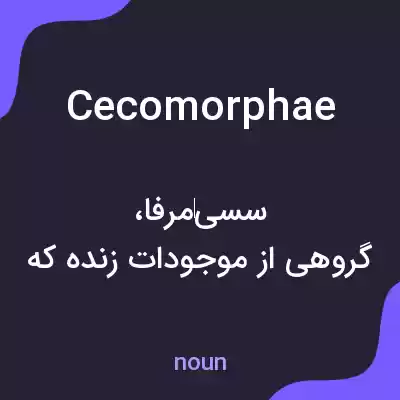 معنی cecomorphae به فارسی معنی cecomorphae به فارسی