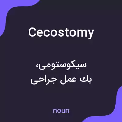 معنی cecostomy به فارسی
