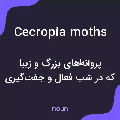 معنی cecropia moths به فارسی معنی cecropia moths به فارسی