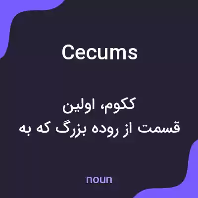 معنی cecums به فارسی معنی cecums به فارسی