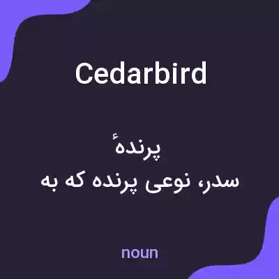 معنی cedarbird به فارسی معنی cedarbird به فارسی