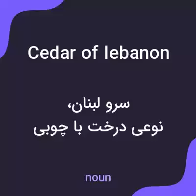معنی cedar of lebanon به فارسی معنی cedar of lebanon به فارسی