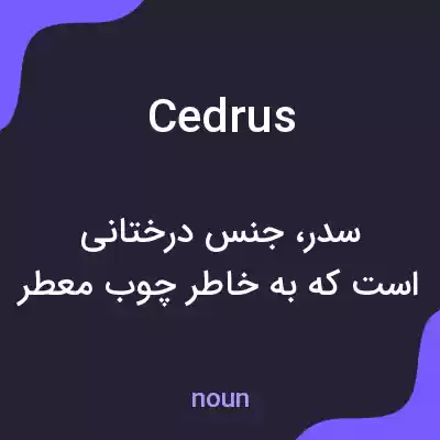 معنی cedrus به فارسی معنی cedrus به فارسی