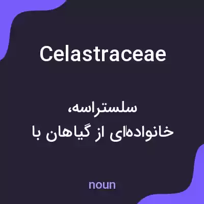 معنی celastraceae به فارسی معنی celastraceae به فارسی