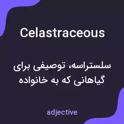 معنی celastraceous به فارسی معنی celastraceous به فارسی