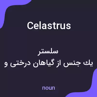 معنی celastrus به فارسی معنی celastrus به فارسی