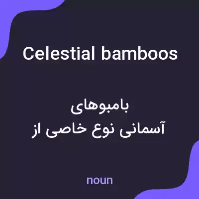 معنی celestial bamboos به فارسی معنی celestial bamboos به فارسی