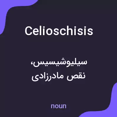 معنی celioschisis به فارسی معنی celioschisis به فارسی