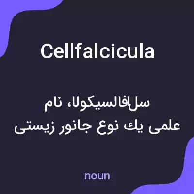 معنی cellfalcicula به فارسی معنی cellfalcicula به فارسی