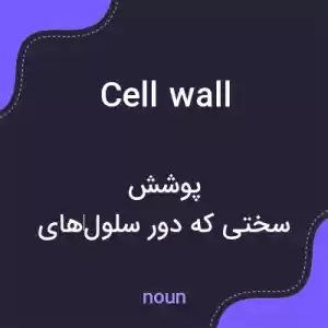 معنی cell wall به فارسی معنی cell wall به فارسی
