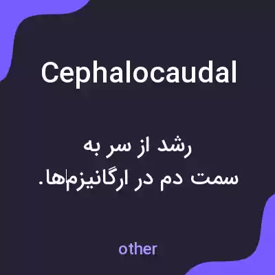 معنی cephalocaudal به فارسی