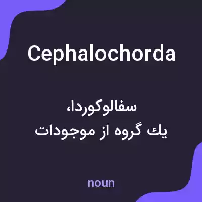 معنی cephalochorda به فارسی معنی cephalochorda به فارسی