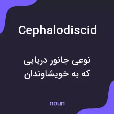 معنی cephalodiscid به فارسی معنی cephalodiscid به فارسی