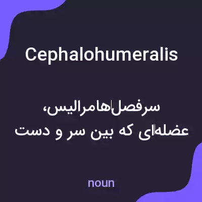 معنی cephalohumeralis به فارسی معنی cephalohumeralis به فارسی
