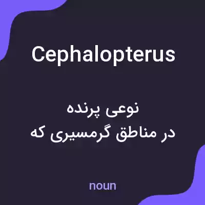 معنی cephalopterus به فارسی معنی cephalopterus به فارسی