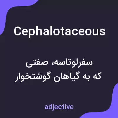 معنی cephalotaceous به فارسی معنی cephalotaceous به فارسی