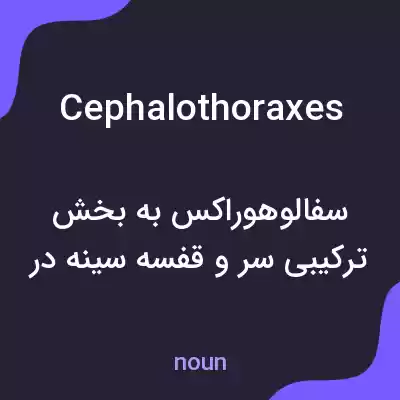 معنی cephalothoraxes به فارسی