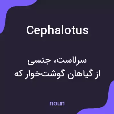 معنی cephalotus به فارسی معنی cephalotus به فارسی