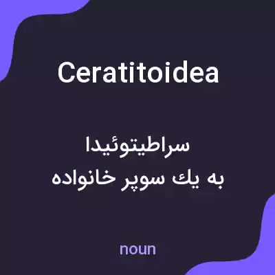 معنی ceratitoidea به فارسی معنی ceratitoidea به فارسی