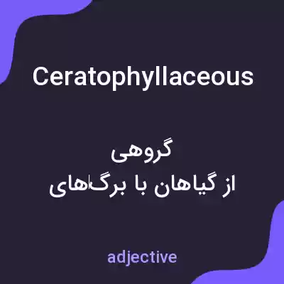 معنی ceratophyllaceous به فارسی معنی ceratophyllaceous به فارسی