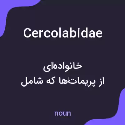 معنی cercolabidae به فارسی معنی cercolabidae به فارسی