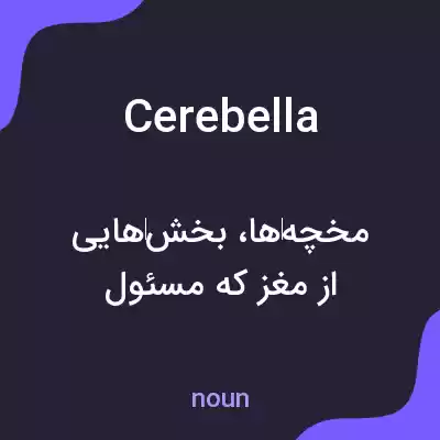 معنی cerebella به فارسی معنی cerebella به فارسی