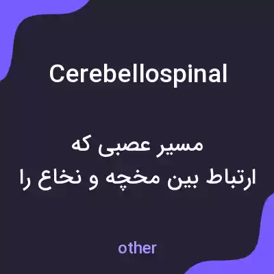 معنی cerebellospinal به فارسی معنی cerebellospinal به فارسی