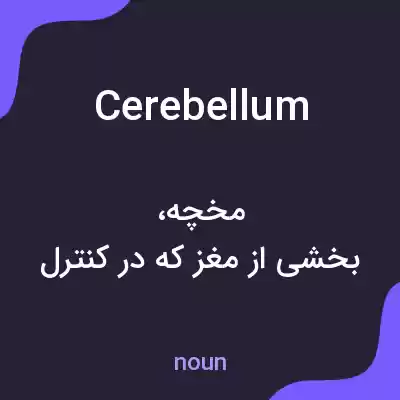 معنی cerebellum به فارسی معنی cerebellum به فارسی