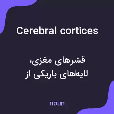 معنی cerebral cortices به فارسی معنی cerebral cortices به فارسی