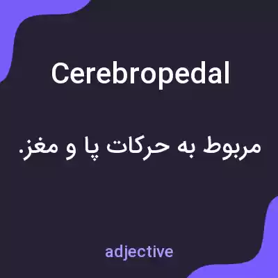 معنی cerebropedal به فارسی معنی cerebropedal به فارسی