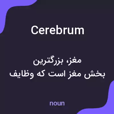 معنی cerebrum به فارسی معنی cerebrum به فارسی