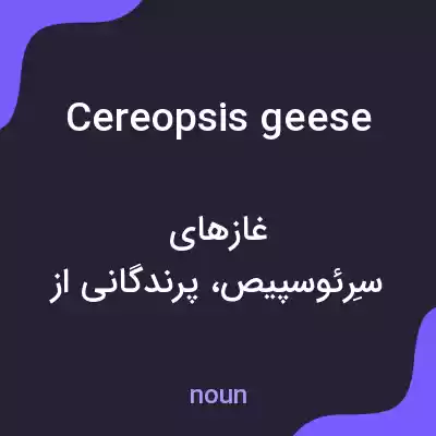 معنی cereopsis geese به فارسی معنی cereopsis geese به فارسی