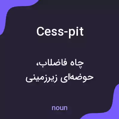 معنی cess-pit به فارسی معنی cess-pit به فارسی