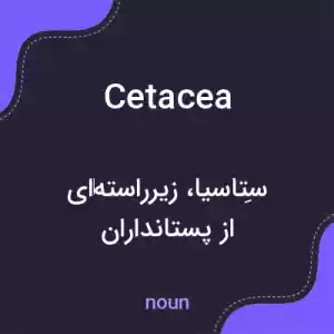 معنی cetacea به فارسی معنی cetacea به فارسی