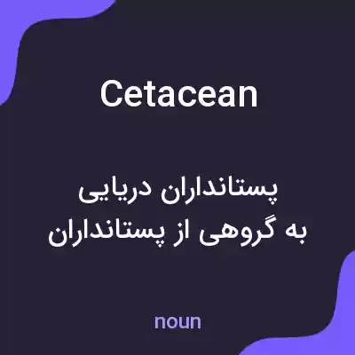 معنی cetacean به فارسی معنی cetacean به فارسی